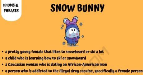 define snowbunny